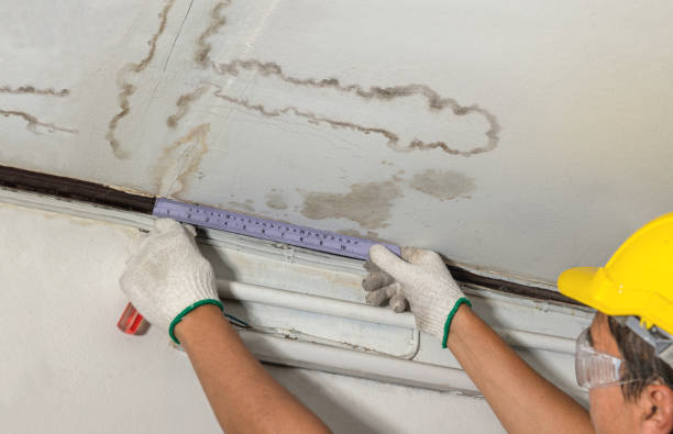 Reliable Water Damage contractor in Stockton, KS by Water Damage Irwin